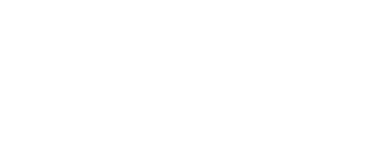 Vevo & Mini